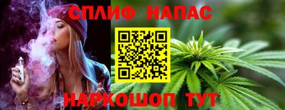 прущие грибы Жуковский