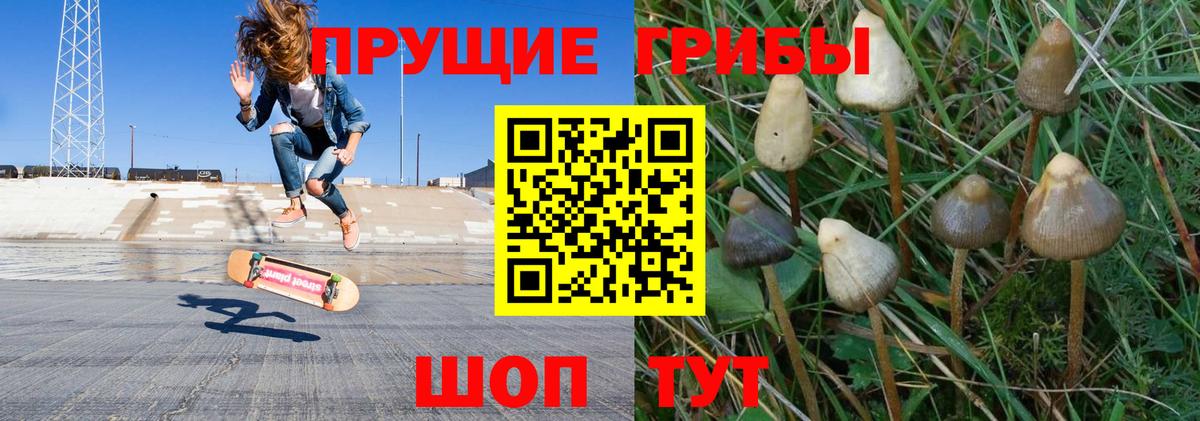 Галлюциногенные грибы Cubensis Мариинск